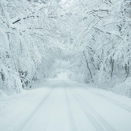 大山参道ホテル 頂 Itadaki エクステリア 写真